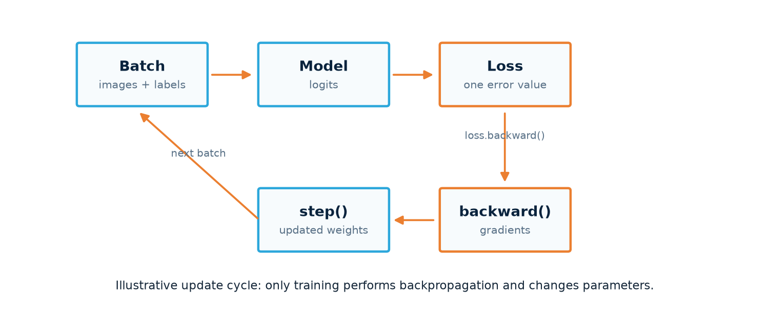 Conceptual PyTorch cycle from a batch through model, loss, gradients, and an optimizer update